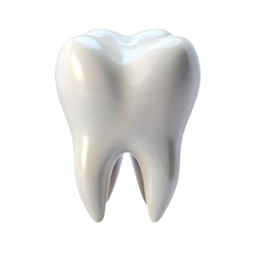 Tooth